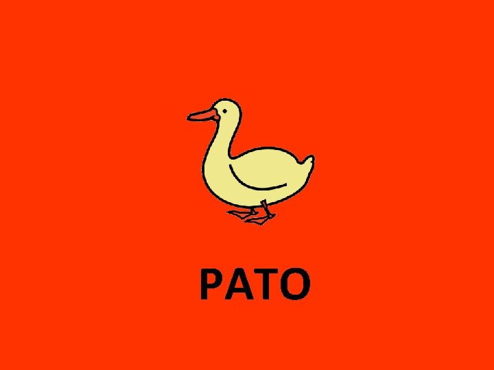 PATO 