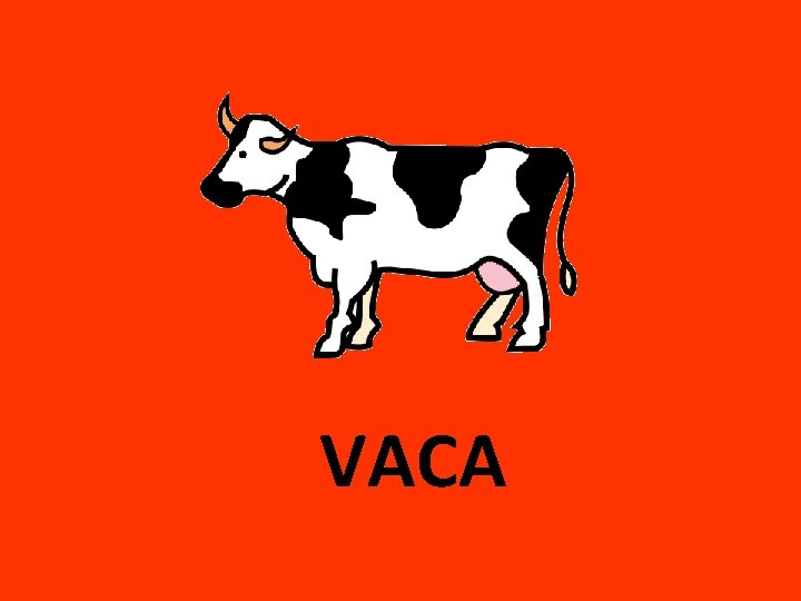 VACA 