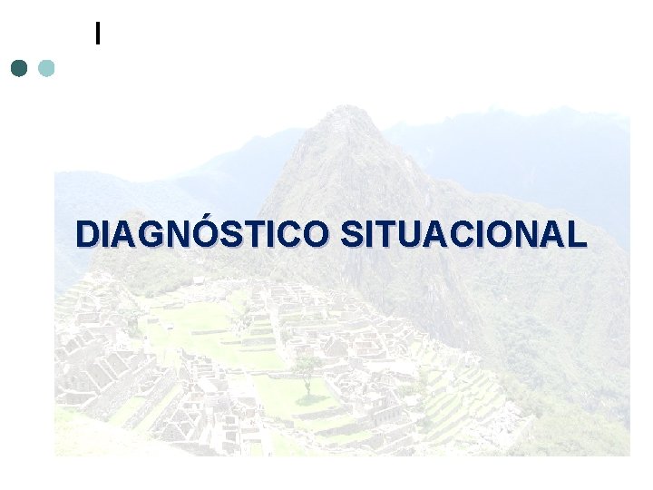 DIAGNÓSTICO SITUACIONAL 