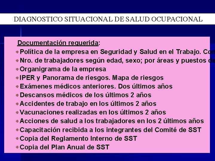 DIAGNOSTICO SITUACIONAL DE SALUD OCUPACIONAL Documentación requerida: Política de la empresa en Seguridad y