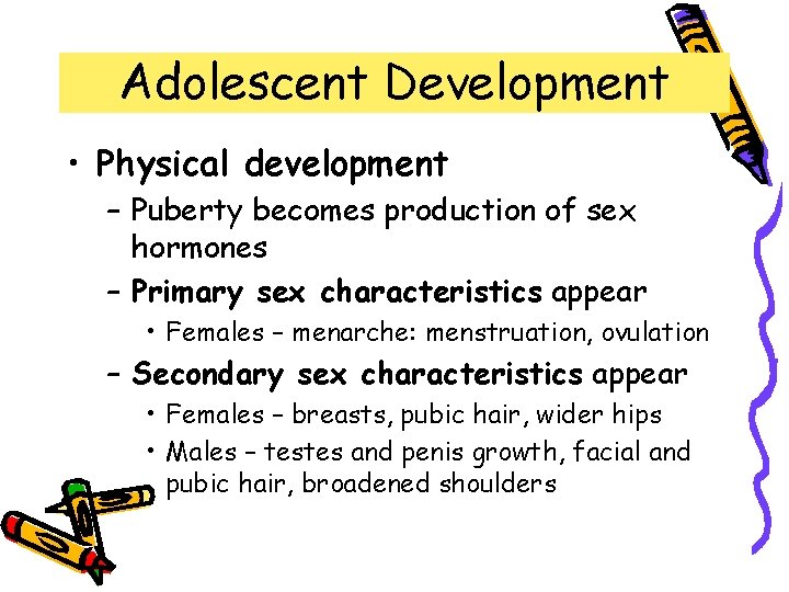 Adolescent Development • Physical development – Puberty becomes production of sex hormones – Primary