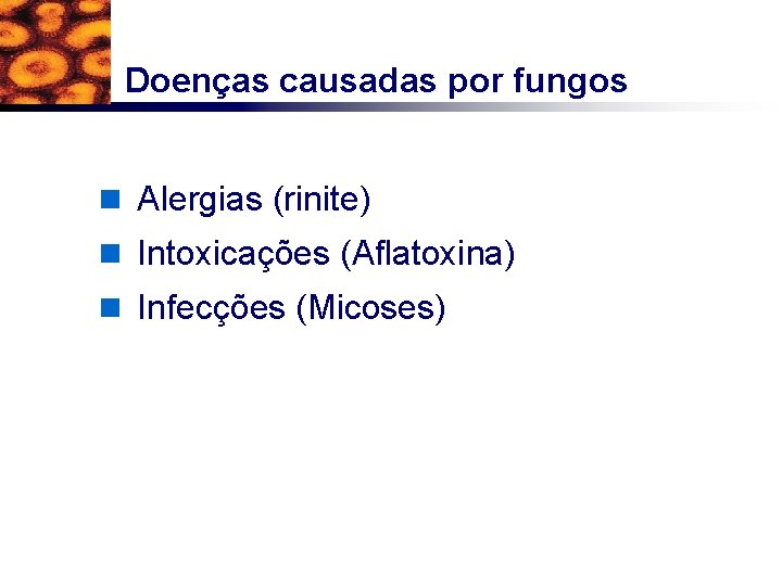 Doenças causadas por fungos n Alergias (rinite) n Intoxicações (Aflatoxina) n Infecções (Micoses) 