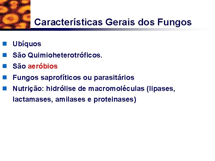 Características Gerais dos Fungos n Ubíquos n São Quimioheterotróficos. n São aeróbios n Fungos