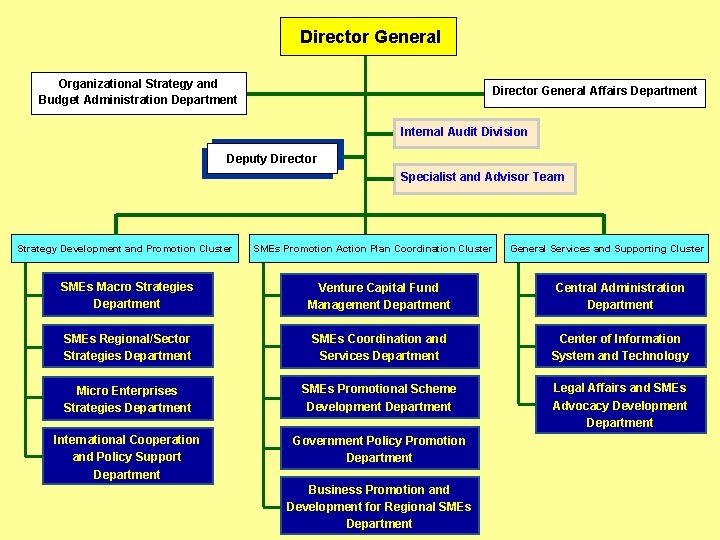 Director General Organizational Strategy and Budget Administration Department Director General Affairs Department Internal Audit