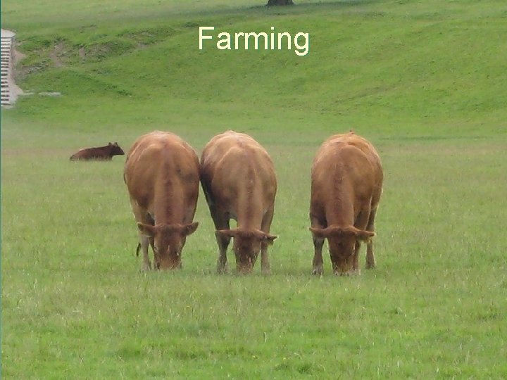 Farming 