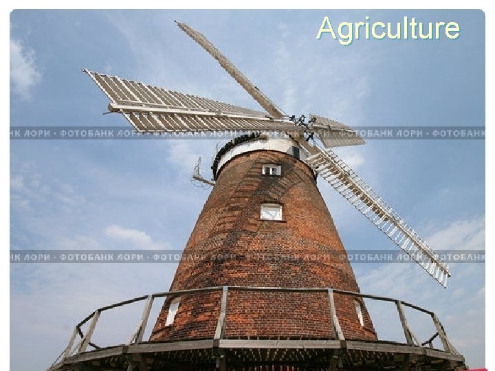 Agriculture 