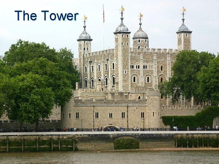 The Tower 