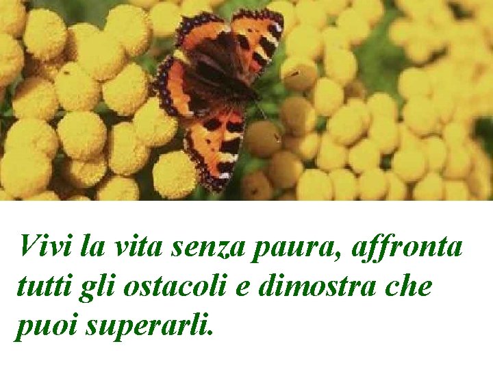 Vivi la vita senza paura, affronta tutti gli ostacoli e dimostra che puoi superarli.
