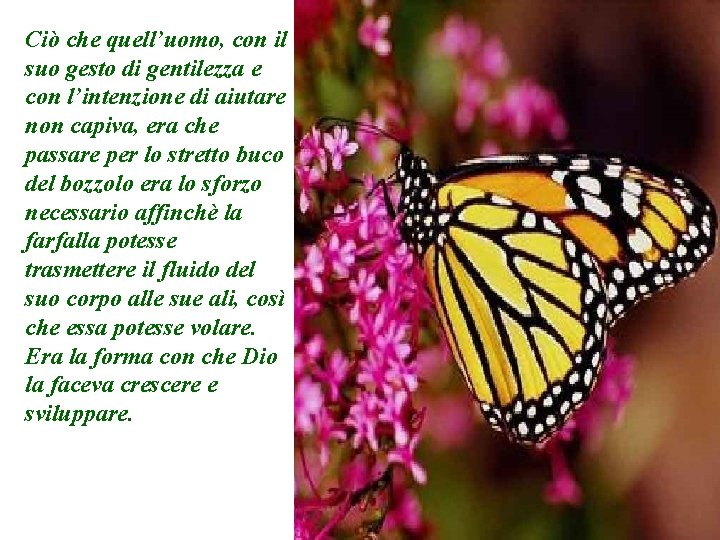 Ciò che quell’uomo, con il suo gesto di gentilezza e con l’intenzione di aiutare
