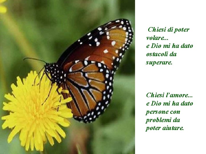 Chiesi di poter volare. . . e Dio mi ha dato ostacoli da superare.