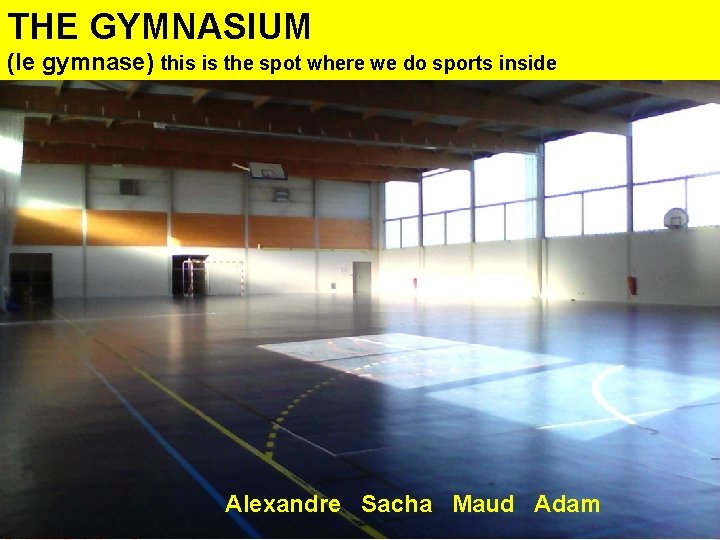 THE GYMNASIUM (le gymnase) this is the spot where we do sports inside Alexandre