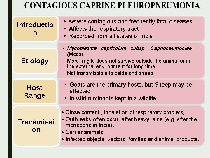 Introductio n • severe contagious and frequently fatal diseases • Affects the respiratory tract