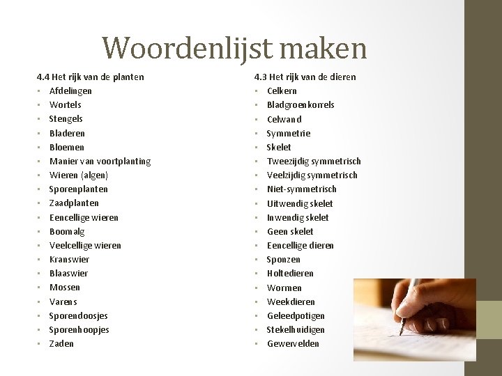 Woordenlijst maken 4. 4 Het rijk van de planten • Afdelingen • Wortels •