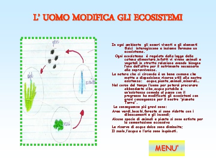 L’ UOMO MODIFICA GLI ECOSISTEMI In ogni ambiente gli esseri viventi e gli elementi