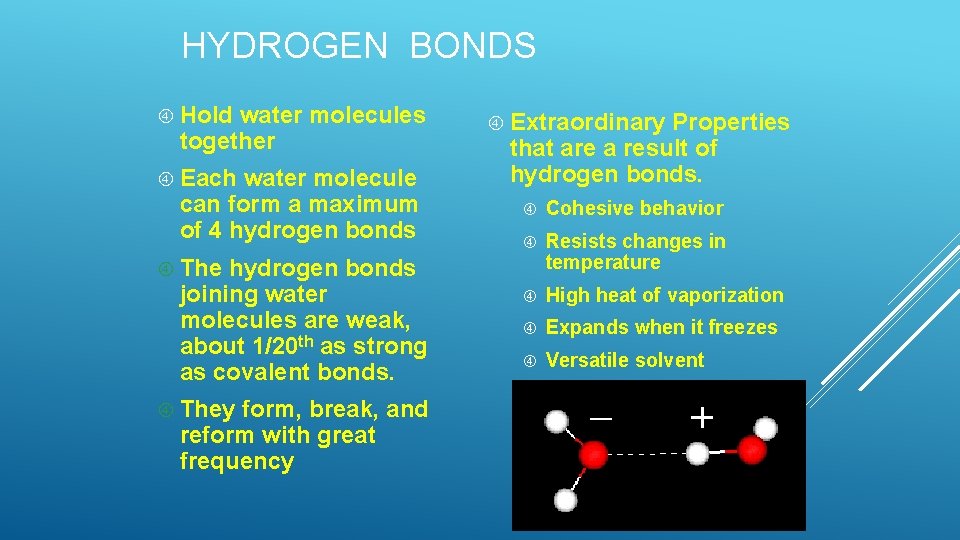 HYDROGEN BONDS Hold water molecules together Each water molecule can form a maximum of HYDROGEN BONDS Hold water molecules together Each water molecule can form a maximum of