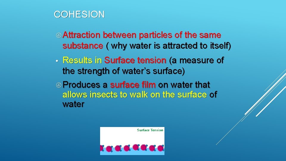 COHESION Attraction between particles of the same substance ( why water is attracted to COHESION Attraction between particles of the same substance ( why water is attracted to