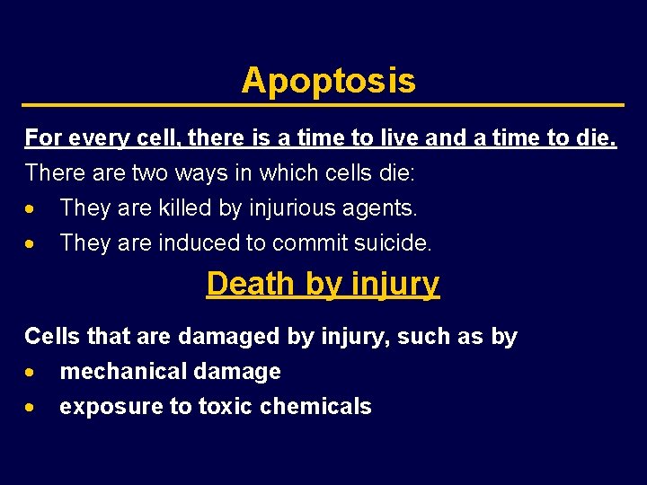 Apoptosis For every cell, there is a time to live and a time to