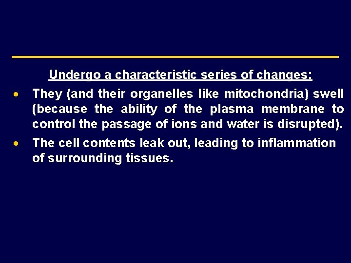 Undergo a characteristic series of changes: · · They (and their organelles like mitochondria)