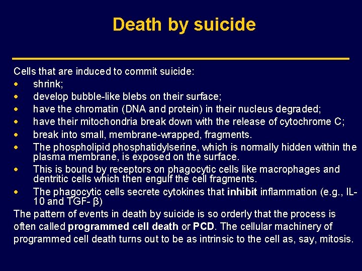 Death by suicide Cells that are induced to commit suicide: · shrink; · develop