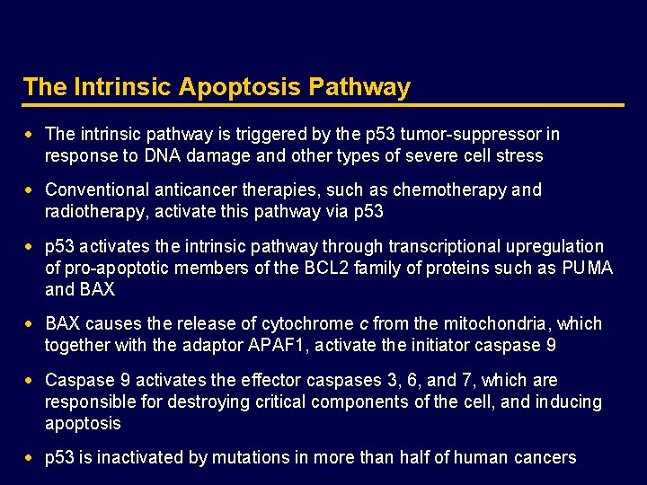 The Intrinsic Apoptosis Pathway · The intrinsic pathway is triggered by the p 53