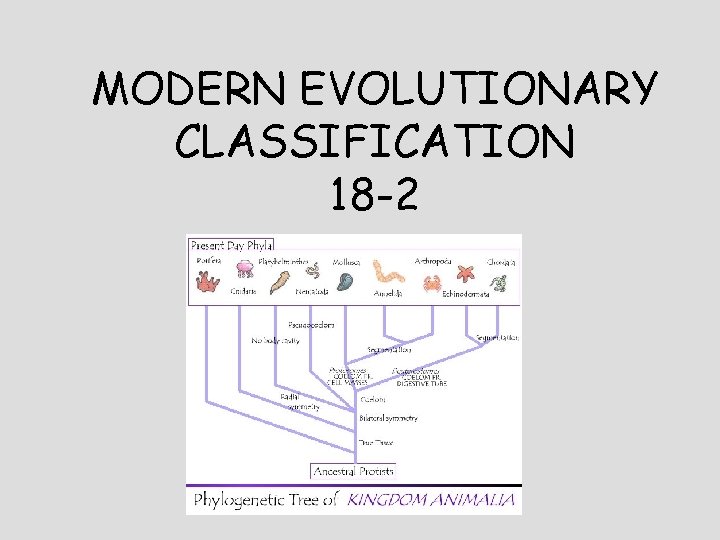 MODERN EVOLUTIONARY CLASSIFICATION 18 -2 