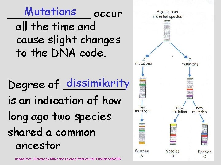 Mutations ______ occur all the time and cause slight changes to the DNA code.