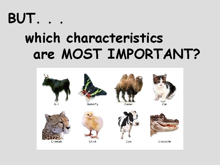 BUT. . . which characteristics are MOST IMPORTANT? 