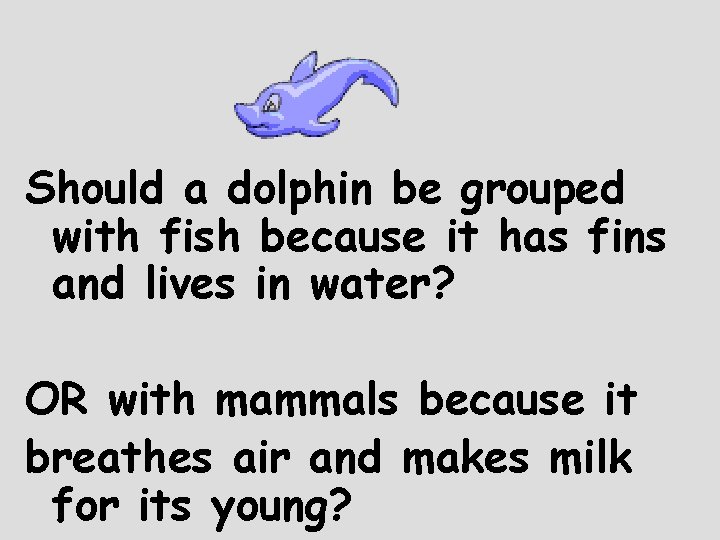 Should a dolphin be grouped with fish because it has fins and lives in