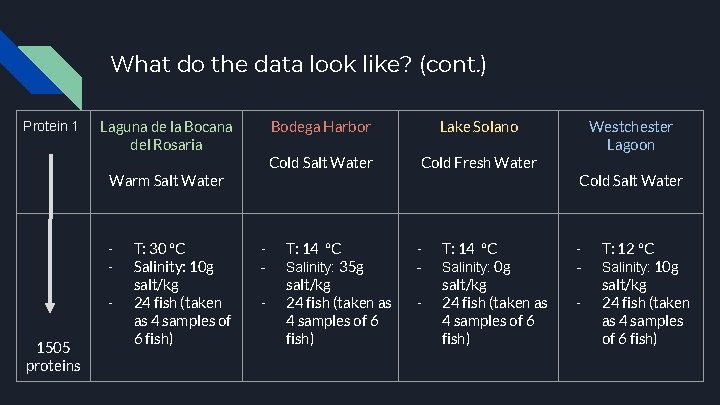 What do the data look like? (cont. ) Protein 1 Laguna de la Bocana