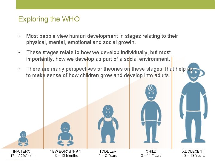 Exploring the WHO • Most people view human development in stages relating to their