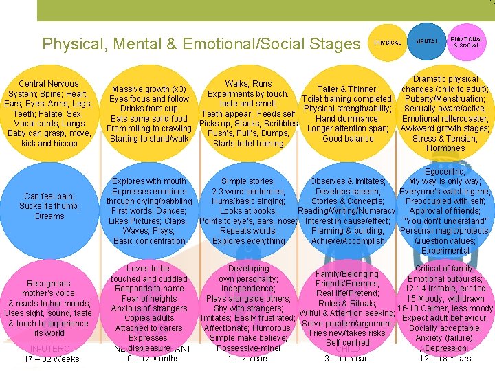 Physical, Mental & Emotional/Social Stages Central Nervous System; Spine; Heart; Ears; Eyes; Arms; Legs;