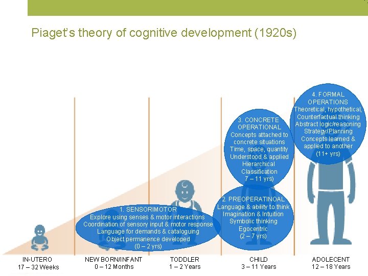 Piaget’s theory of cognitive development (1920 s) 4. FORMAL OPERATIONS Theoretical, hypothetical, Counterfactual thinking