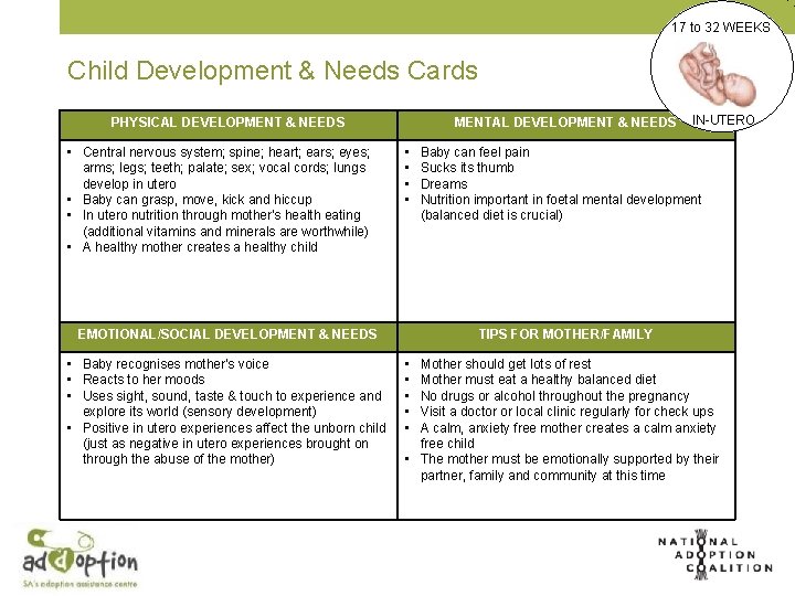 17 to 32 WEEKS Child Development & Needs Cards PHYSICAL DEVELOPMENT & NEEDS •