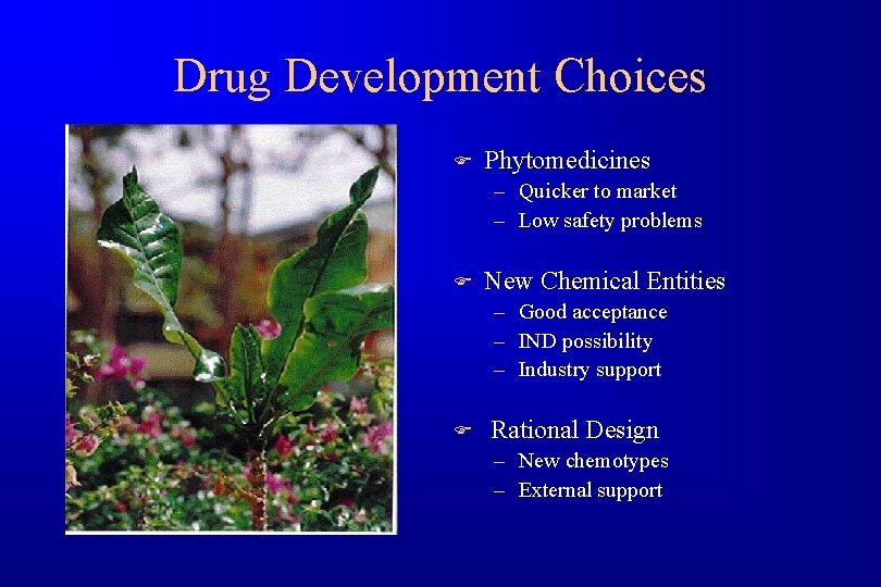 Drug Development Choices F Phytomedicines – Quicker to market – Low safety problems F