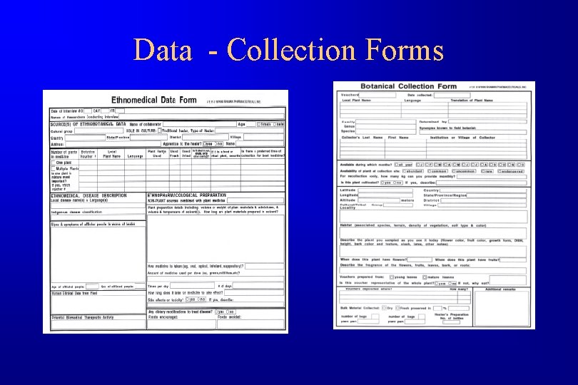 Data - Collection Forms 