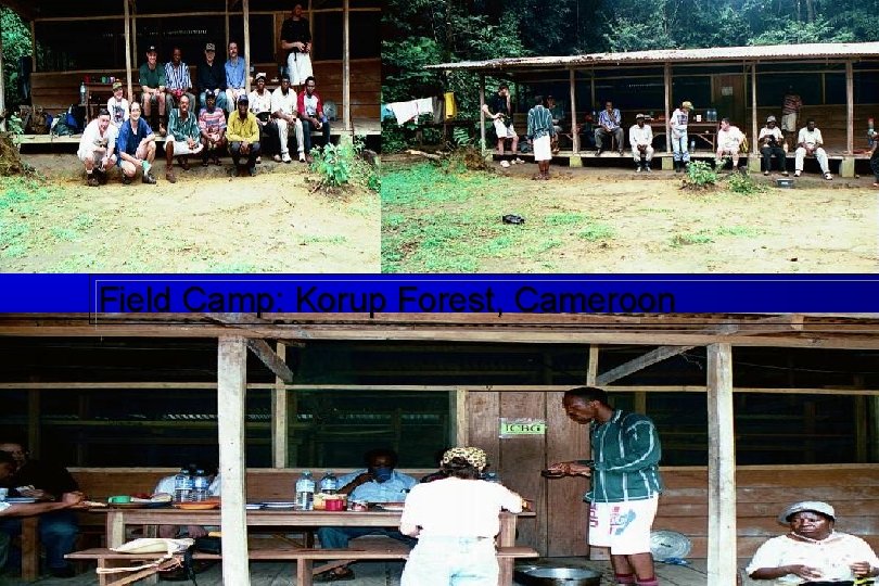 Field Camp: Korup Forest, Cameroon 