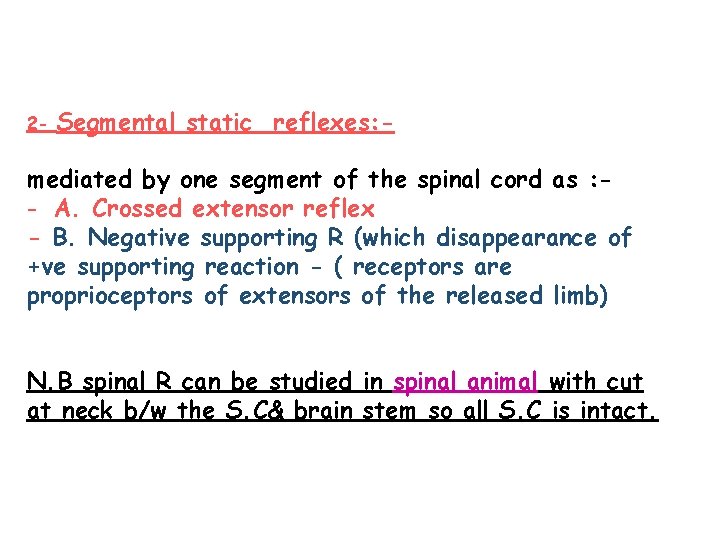 2 - Segmental static reflexes: - mediated by one segment of the spinal cord