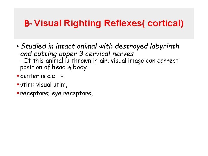 B- Visual Righting Reflexes( cortical) • Studied in intact animal with destroyed labyrinth and