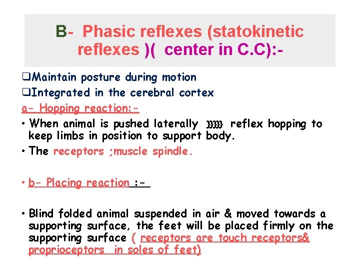 B- Phasic reflexes (statokinetic reflexes )( center in C. C): q. Maintain posture during