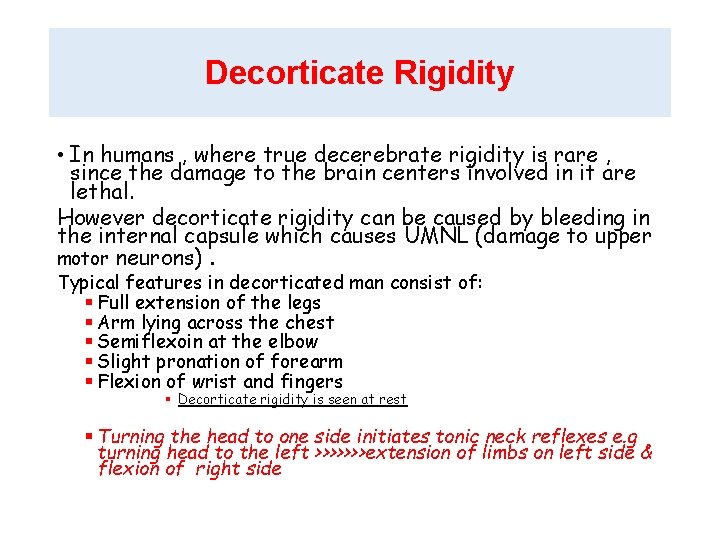 Decorticate Rigidity • In humans , where true decerebrate rigidity is rare , since