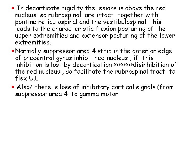 § In decorticate rigidity the lesions is above the red nucleus so rubrospinal are