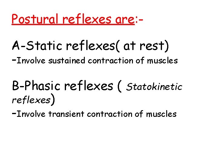 Postural reflexes are: A-Static reflexes( at rest) -Involve sustained contraction of muscles B-Phasic reflexes