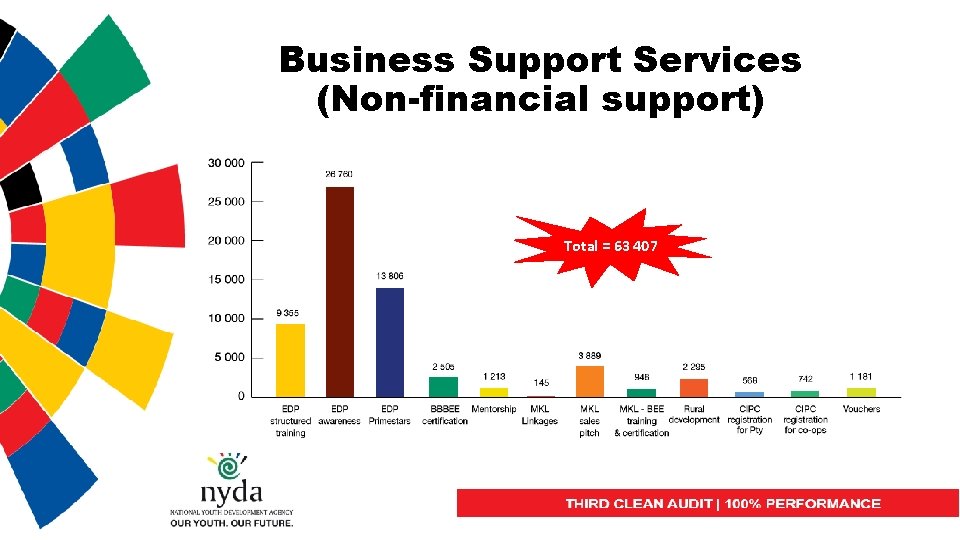 Business Support Services (Non-financial support) Total = 63 407 