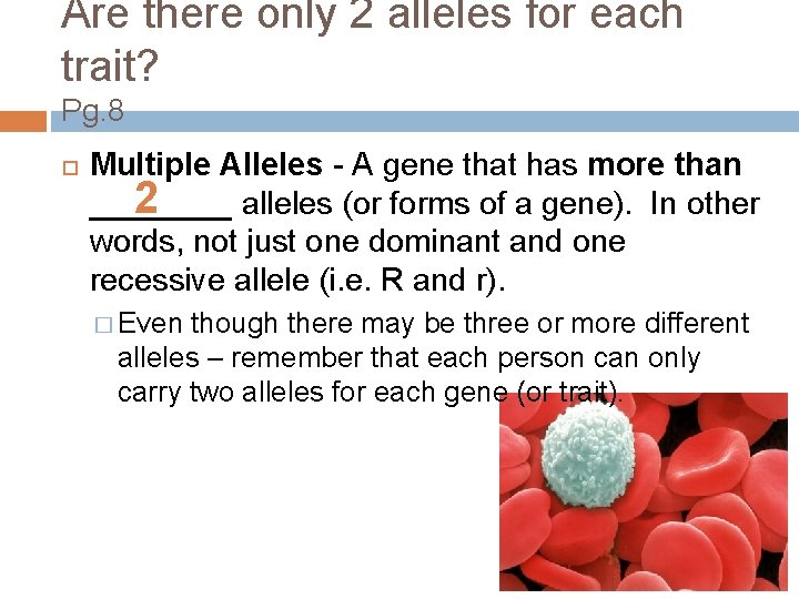 Are there only 2 alleles for each trait? Pg. 8 Multiple Alleles - A