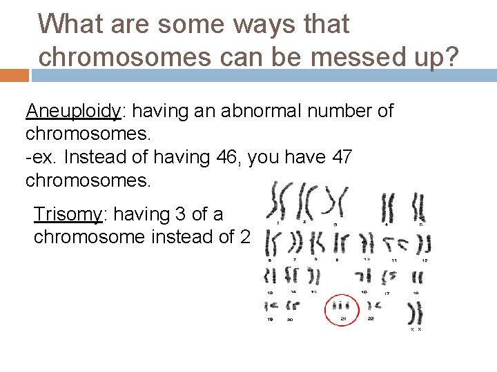What are some ways that chromosomes can be messed up? Aneuploidy: having an abnormal