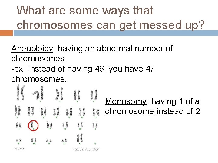 What are some ways that chromosomes can get messed up? Aneuploidy: having an abnormal