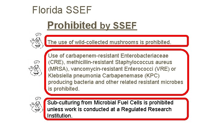 Florida SSEF Prohibited by SSEF The use of wild-collected mushrooms is prohibited. Use of