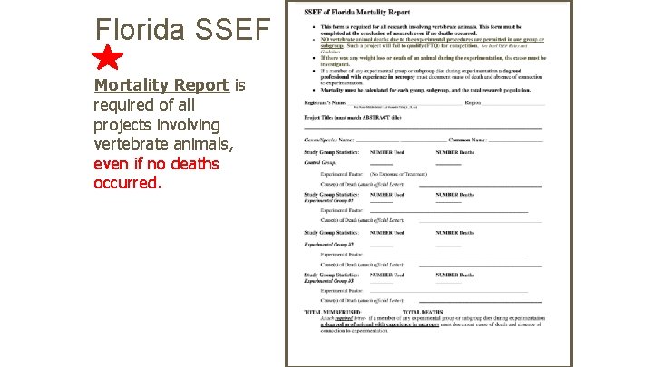 Florida SSEF Mortality Report is required of all projects involving vertebrate animals, even if