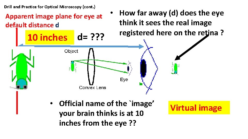 Drill and Practice for Optical Microscopy (cont. ) • How far away (d) does