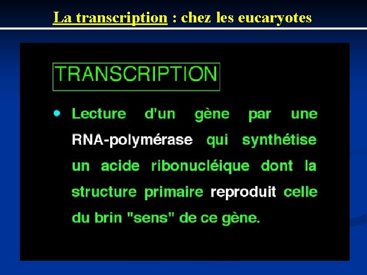 La transcription : chez les eucaryotes 